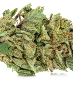 Amnesia Haze Premium