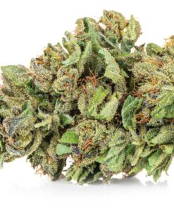 Amnesia Haze Premium – Susz CBD