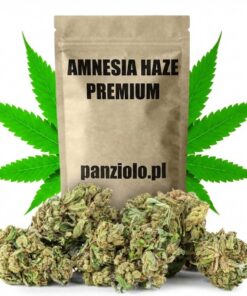 Amnesia Haze Premium – Susz CBD 33% (Cytrusowa Energia)