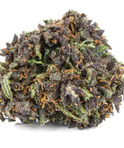 Ciemne kwiaty konopi