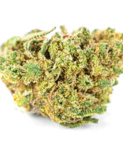 Alternative view of Susz konopny CBD OG Kush