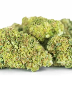 Ekskluzywny susz konopny Pan Zioło AK 47