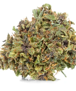 Alternative view of Susz konopny Czarna Pantera SUPER AMSTERDAM CBD