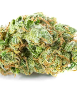 Alternative view of Susz konopny Gelato Premium CBD