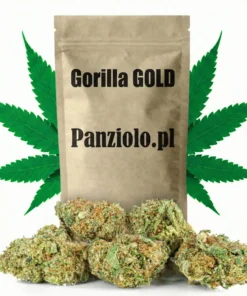 Susz konopny CBD Gorilla GOLD