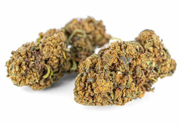Jack Herer CBD Herbs