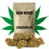 Jack Herer Susz CBD Premium
