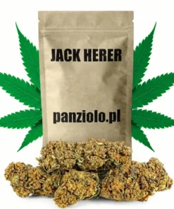 Jack Herer Susz CBD Premium