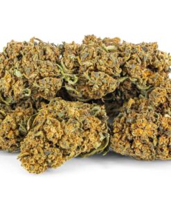 Jack Herer Susz CBD poland