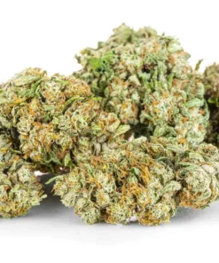 Jasne kwiaty konopi o zapachu cytryny wyglad