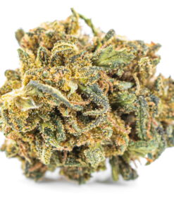 Kwiaty konopi Bubble Gum 30% CBD wygląd