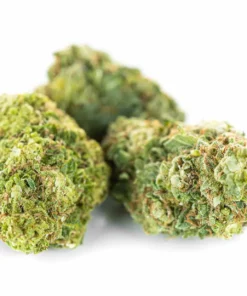 Legalne konopie włókniste Super Amsterdam opinie