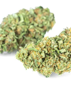 Legalne kwiaty konopi AK 47 36 CBD