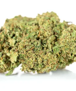 Legalne kwiaty konopi Amnesia Haze wyglad