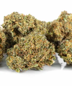 Najlepszy susz konopny do waporyzacji Cookies