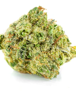 Legalne kwiaty konopi V1 Premium wyglad