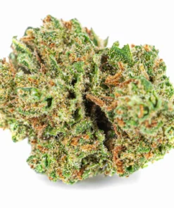 Legalne kwiaty konopi mocny aromat Skunk