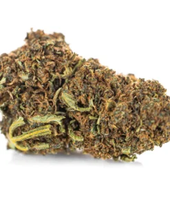 Legalne kwiaty konopi o zapachu karmelu