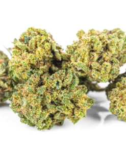 Legalne kwiaty konopi o zapachu paliwa