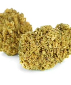 Legalne kwiaty konopi o zapachu pomaranczy