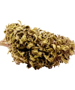 Orange Bud susz konopny CBD