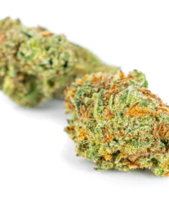 Legalne kwiaty konopi o zapachu truskawki