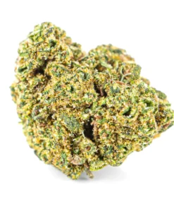 Legalne kwiaty konopi o zapachu ziemi i sosny