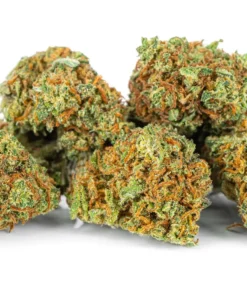 Legalny susz CBD Blueberry opinie Pan Zioło