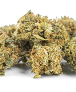 Legalny susz CBD Bubble Gum