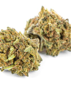 Legalny susz CBD Bubble Gum opinie Pan Zioło