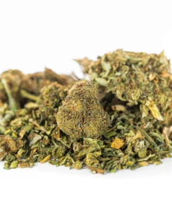 Alternative view of Susz konopny CBD MIX Odmian