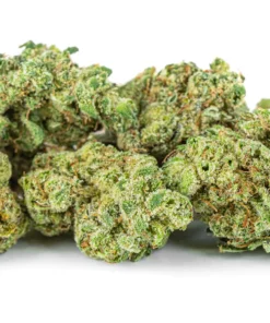 Mocny susz CBD 30 V1 opinie