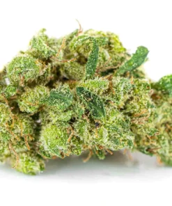 Mocny susz CBD 30 V1 opinie Pan Ziolo