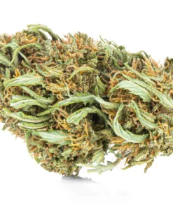 Mocny susz CBD 32 Purple Haze opinie