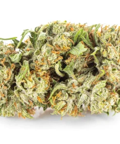 Mocny susz cytrusowy CBD opinie Pan Ziolo