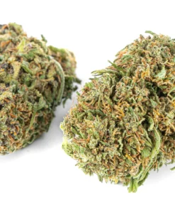 Najladniejszy susz konopny fioletowy