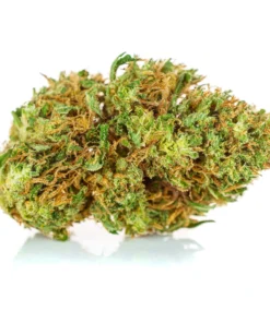 Najlepsza odmiana Haze w sklepie Pan Ziolo