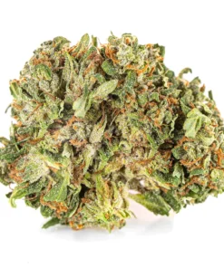 Najlepszy susz Sativa Super Amsterdam Lemon