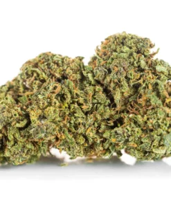 Najlepszy susz energetyczny CBD Amnesia