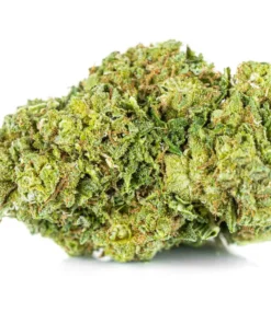 Najmocniejszy susz CBD AK 47 wygląd topów