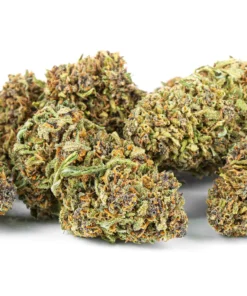 Naturalny susz konopny Sativa Dominant