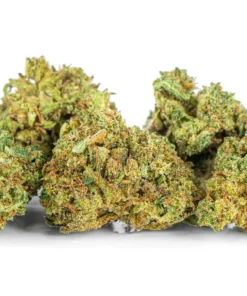 Odmiana AK 47 bogata w fitoskladniki THC ponizej 03