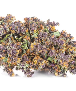 Purple Haze Super Amsterdam