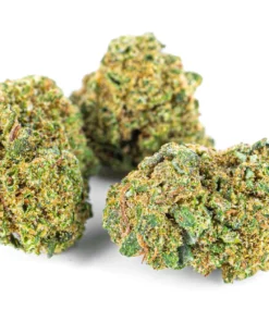 Recznie selekcjonowane kwiaty konopi Diesel