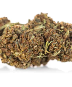 Recznie selekcjonowane topy Caramel Candy