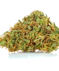 Susz CBD 45 opinie i dzialanie