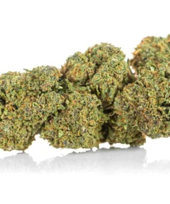 Susz CBD Amnesia Haze opinie i dzialanie