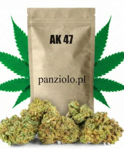Susz konopny AK 47 CBD