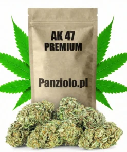 Susz konopny AK 47 PREMIUM CBD