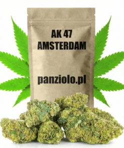 Susz konopny AK 47 SUPER AMSTERDAM CBD